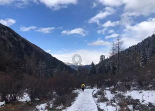 探秘吉鹿力问答社区,了解宋朝一共统治了多少年热门话题